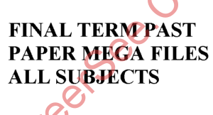FINAL TERM PAST PAPER MEGA FILES ALL SUBJECTS