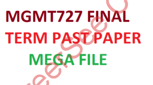 MGMT727 FINAL TERM PAST PAPER MEGA FILE