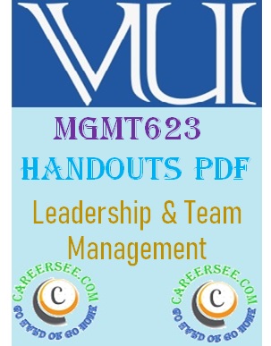 MGMT623 Handouts pdf 
