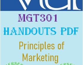 MGT301 Handouts pdf