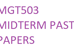 MGT503 MIDTERM PAST PAPERS