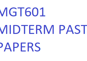 MGT601 MIDTERM PAST PAPERS