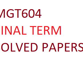 MGT604 FINAL TERM SOLVED PAPERS